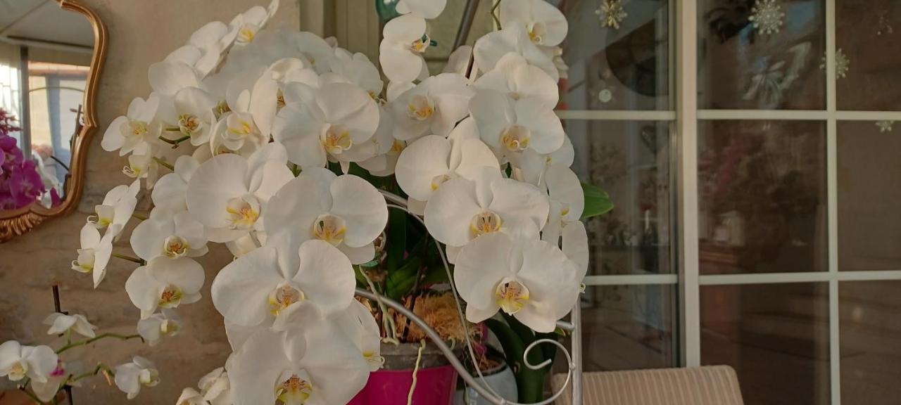 Les Orchidees Chambre Hotes Futuroscope Chasseneuil Poitiers Jaunay-Clan Екстериор снимка