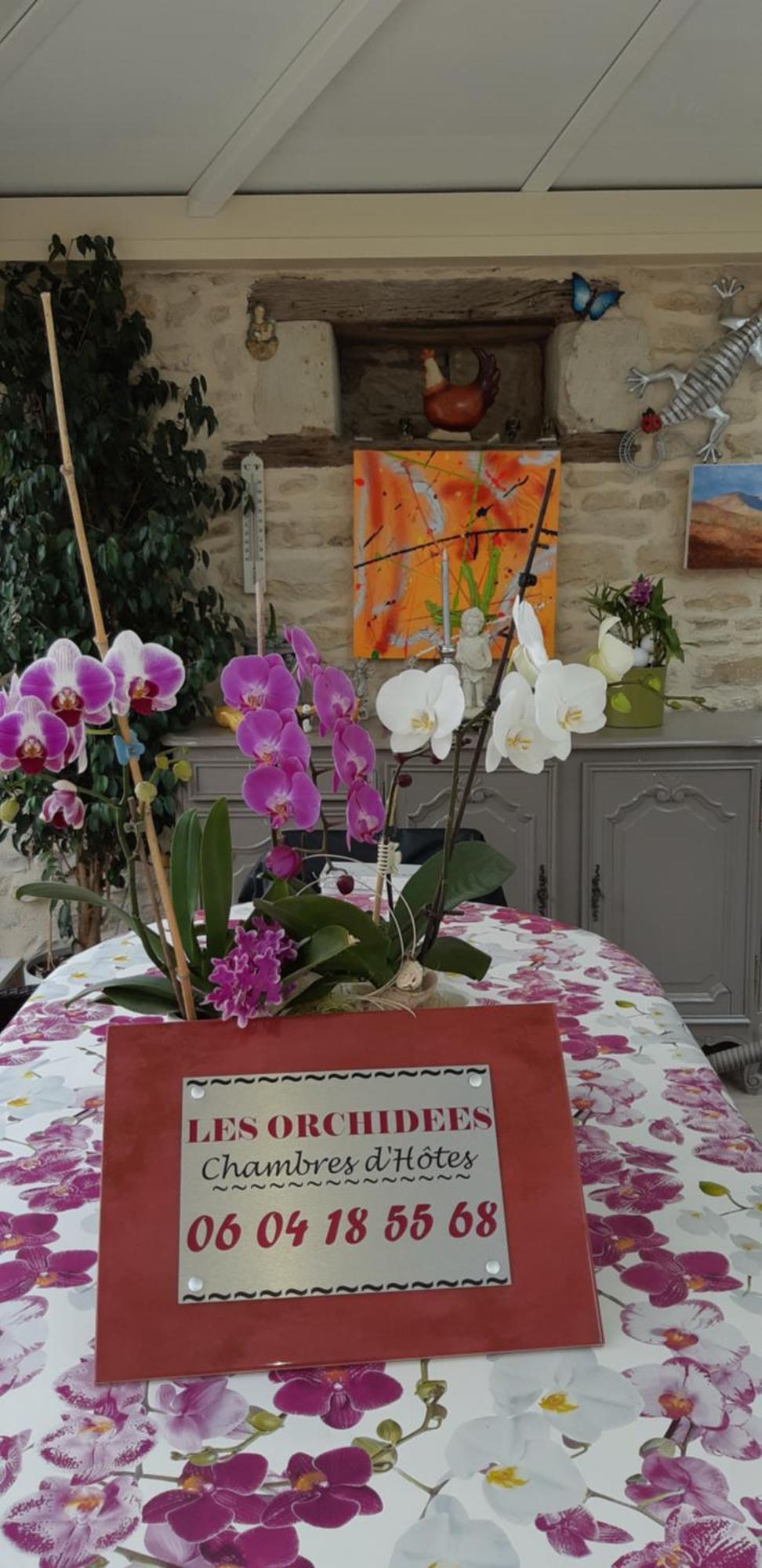 Les Orchidees Chambre Hotes Futuroscope Chasseneuil Poitiers Jaunay-Clan Екстериор снимка